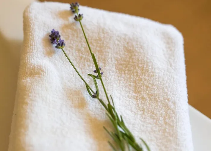 펜션 Casa Do Cabeco